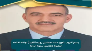 رسمياً اليوم.. تعيين ماجد إسماعيل رئيساً تنفيذياً لوكالة الفضاء المصرية وتفاصيل سيرته الذاتية